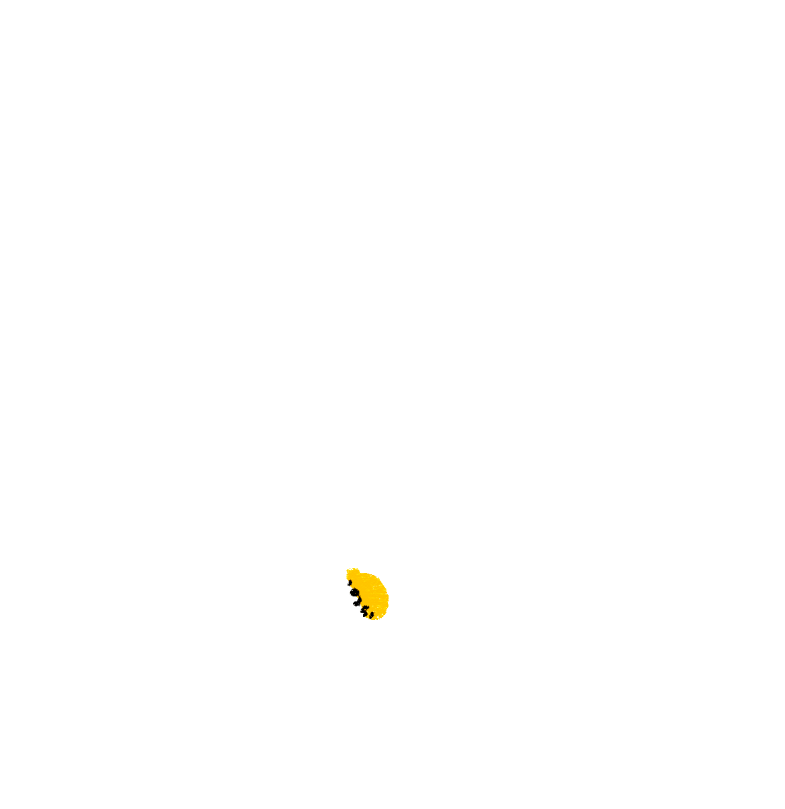 Grow_Seeds-5-copy-1